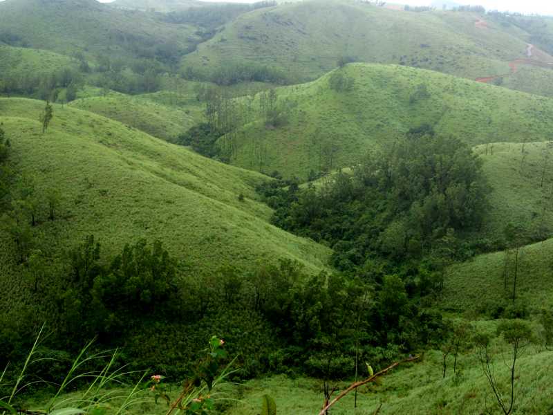varattumedu hill top, Vagamon